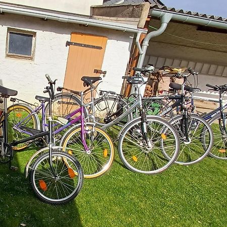 Ferienwohnung Fam. Schade Beilrode Exteriér fotografie